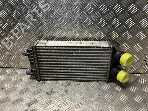 Used Intercooler Intercooler PEUGEOT 2008 II (UD_, US_, UY_, UJ_, UR_, UC_) 1.5 BlueHDI 130 (131 hp) 33469690 33469690