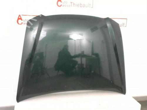 Cofano anteriore FIAT STILO (192_) 1.6 16V (192_XB1A) (103 hp) 30780785