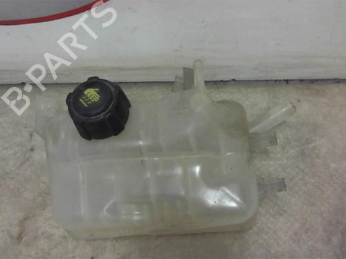 Expansion tank RENAULT SCÉNIC III (JZ0/1_) 1.5 dCi | BP13274080C120 