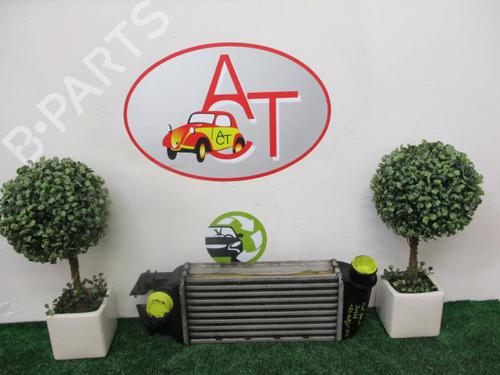 Used Intercooler FIAT 500 (312_) 1.3 D Multijet (312AXB1A) (75 hp) 24943085