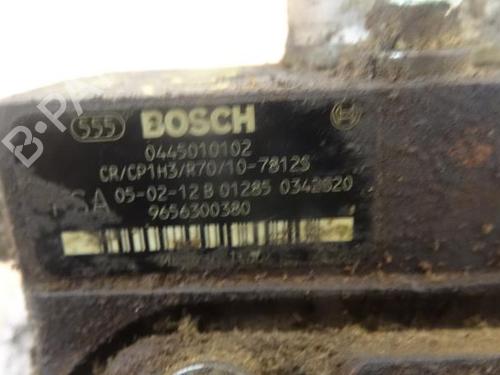 Injection pump PEUGEOT 206 Hatchback (2A/C) 1.4 HDi eco 70 | BP12965987M78 