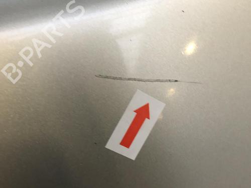 Tailgate RENAULT CLIO III (BR0/1, CR0/1) 1.5 dCi | BP31199979C6