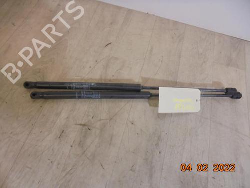 Used Tailgate lift support DACIA SANDERO 1.4 (BS0C, BS0A, BS0G, BS1F, BS0E) (75 hp) 20621959