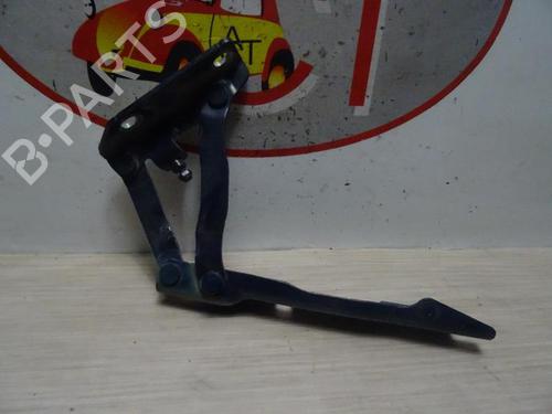 Hinge/Door check strap BMW 5 (E60) 530 d | BP13129688C146