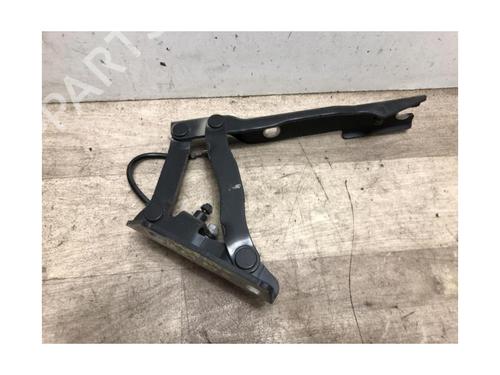 Hinge/Door check strap BMW 5 Touring (E61) 525 d | BP23872591C146