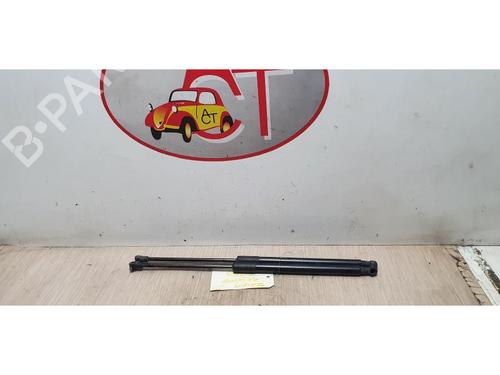 Tailgate lift support BMW 1 (F20) 114 d | BP20620625C138