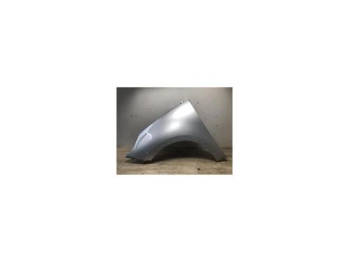 Used Left front fenders RENAULT SCÉNIC III (JZ0/1_) 1.5 dCi (86 hp) 20624039