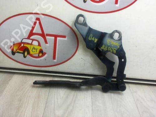 Used Hinge/Door check strap BMW 3 (E90) 320 d (163 hp) 13128276