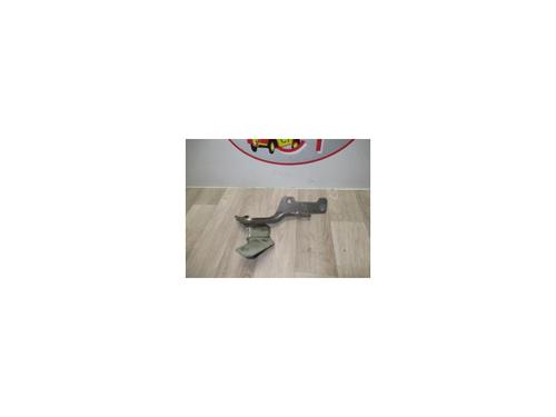 Used Hinge/Door check strap RENAULT CLIO III (BR0/1, CR0/1) 1.5 dCi (BR17, CR17) (86 hp) 13135591