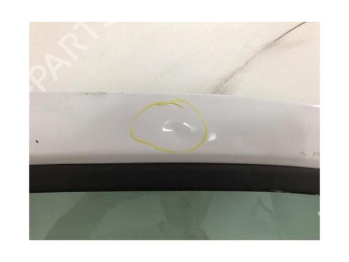 Right front door FIAT DUCATO Van (250_) 140 Multijet 2,2 D | BP30784945C3