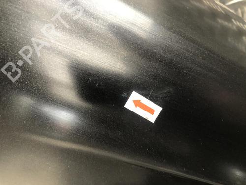 Left front door LOTUS ELISE 1.8 | BP31245911C2