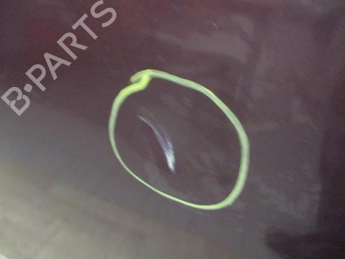 Tailgate PEUGEOT 307 CC (3B) 2.0 16V | BP13269717C6 