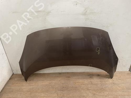 Used Hood Hood RENAULT SCÉNIC III (JZ0/1_) 1.9 dCi (JZ0J, JZ1J, JZ1K, JZ1S) (131 hp) 26163877 26163877