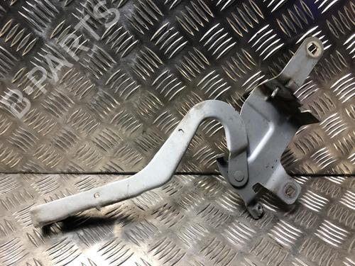 hingedoor-check-strap-renault-clio-iv-bh_-2012-2013-2014-2015-2016-2017-2018-2019-2020-2021-25306628 main image