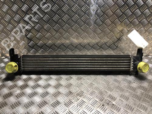 Used Intercooler VW POLO V (6R1, 6C1) 1.6 TDI (90 hp) 31021848