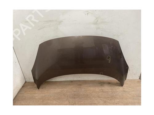 Hood RENAULT SCÉNIC III (JZ0/1_) 1.9 dCi (JZ0J, JZ1J, JZ1K, JZ1S) | BP26163877C1