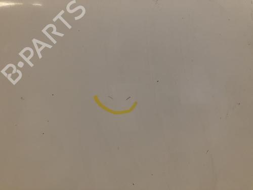 Used Right front door CITROËN JUMPY II Van 1.6 HDi 90 8V (90 hp) 20633412