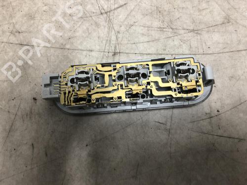 Used Interior roof light RENAULT SCÉNIC II (JM0/1_) 2.0 (JM05, JM0U, JM1N, JM1U, JM2V) (135 hp) 20623516