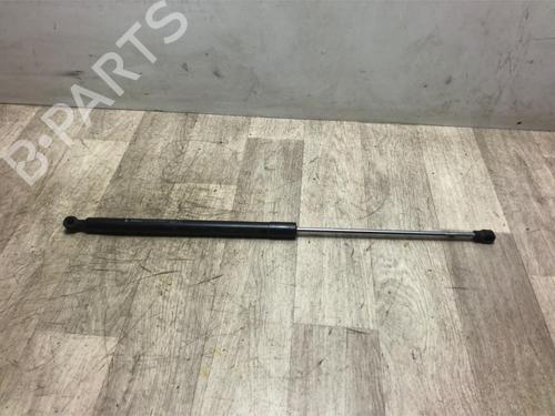 Used Hood lift support DACIA SANDERO II 1.2 (75 hp) 20620870