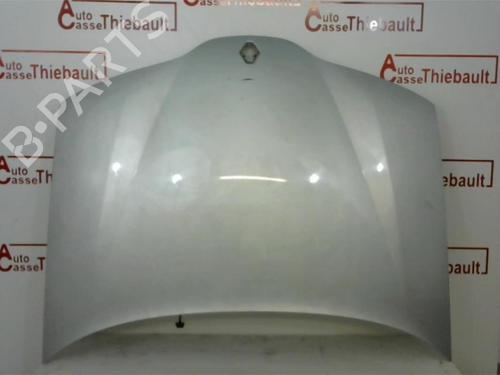 Hood RENAULT LAGUNA II (BG0/1_) 1.9 dCi (BG08, BG0G) | BP20269194C1 