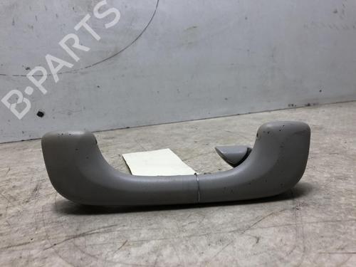 Used Interior roof handle RENAULT SCÉNIC II (JM0/1_) 2.0 (JM05, JM0U, JM1N, JM1U, JM2V) (135 hp) 20623523