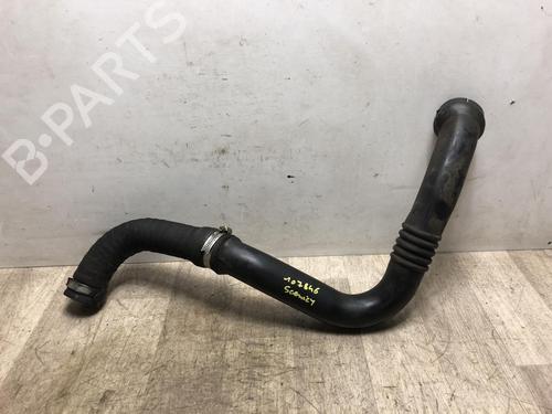 Used Pipe RENAULT SCÉNIC I MPV (JA0/1_, FA0_) 1.9 dCi (JA05, JA1F) (102 hp) 27602964