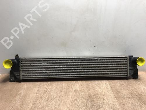 Intercooler SUZUKI SX4 (EY, GY) 1.9 DDiS 4x4 (RW419D) (120 hp) 13271093