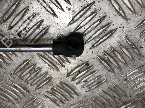 Hood lift support RENAULT CLIO IV (BH_) 1.2 16V | BP31244562C139