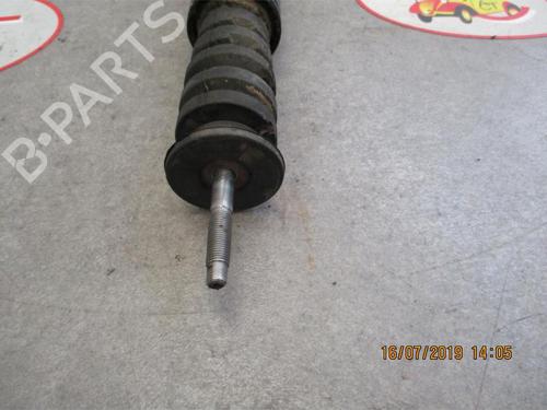 Right rear shock absorber RENAULT CLIO III (BR0/1, CR0/1) 1.5 dCi (C/BR0G, C/BR1G) | BP29753637M19 