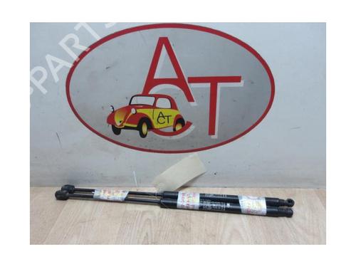 Tailgate lift support FIAT BRAVO II (198_) 1.6 D Multijet (198AXH1B) | BP13288890C138 
