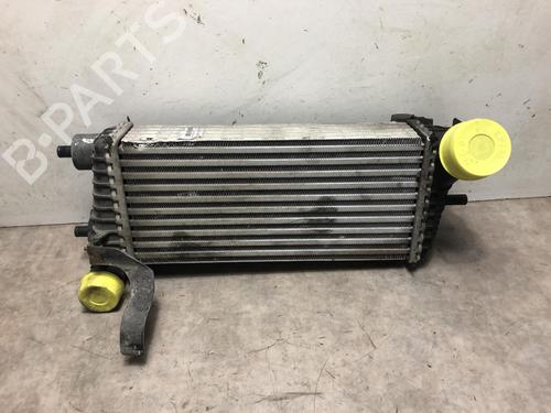 Intercooler FORD FOCUS III 1.6 TDCi (95 hp) 31196650