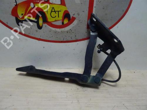 Hinge/Door check strap BMW 5 (E60) 530 d | BP13129687C146 