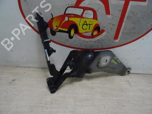 Hinge/Door check strap BMW X5 (E70) xDrive 35 d | BP13132013C146 