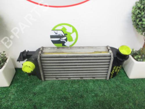 Intercooler FIAT 500 (312_) 1.3 D Multijet (312AXB1A) | BP24943085M30