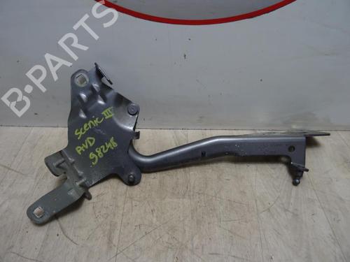 Used Hinge/Door check strap RENAULT GRAND SCÉNIC III (JZ0/1_) 1.5 dCi (JZ09, JZ0D, JZ10, JZ14, JZ1G, JZ29, JZ2C) (110 hp) 13261021