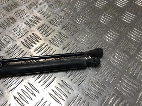 Tailgate lift support RENAULT CLIO IV (BH_) 1.2 16V | BP31244547C138
