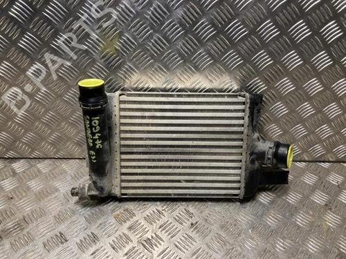 Intercooler DACIA SANDERO II TCe 90 (B8M1, B8MA, B8AC) | BP28317627M30