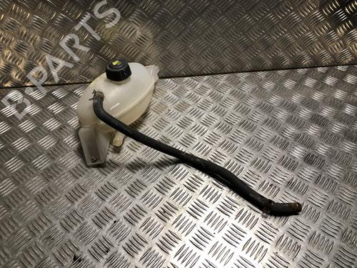 Ekspansjonstank RENAULT MASTER III Van (FV) 2.3 dCi 135 FWD (FV0N, FV08, FV06, FV00, FV1S) (136 hp) 31200804