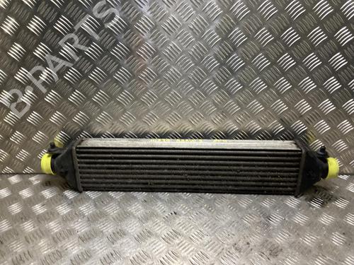 Intercooler Intercooler FIAT BRAVO II (198_) 1.6 D Multijet (198AXH1B) (105 hp) 34220792 34220792