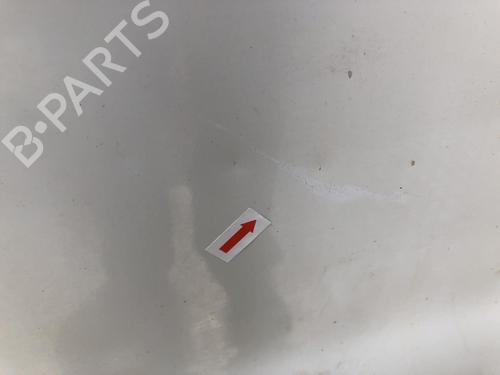 Left front door NISSAN PRIMASTAR Van (X83) 2.0 dCi 115 | BP31202847C2