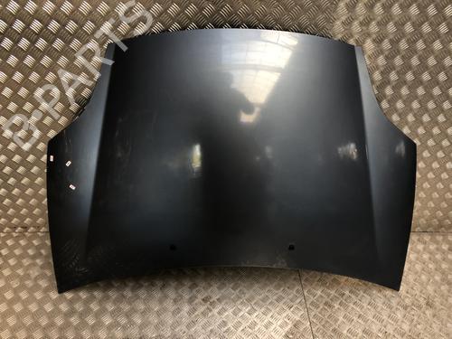 Used Hood Hood FIAT BRAVO II (198_) 1.6 D Multijet (198AXH1B) (105 hp) 34182654 34182654