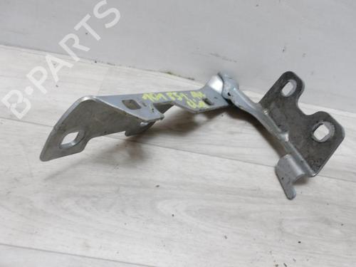 Used Hinge/Door check strap RENAULT CLIO II (BB_, CB_) 1.4 (B/CB0C, B/CB0S) (75 hp) 13132256