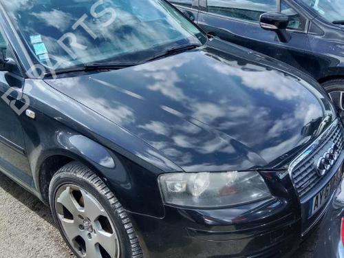 Peças AUDI A3 (8P1) 2.0 TDI 16V quattro 4693712