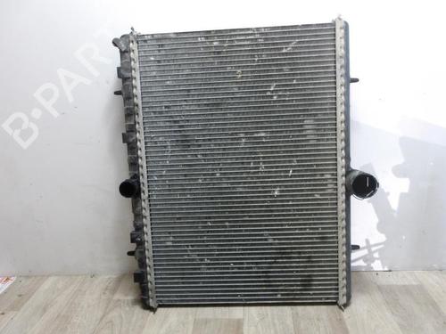 Used Water radiator Water radiator PEUGEOT EXPERT Van (VF3A_, VF3U_, VF3X_) 2.0 HDi 130 (128 hp) 13282553 13282553