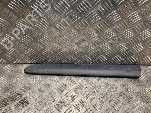 Used Door moulding trim RENAULT CLIO II (BB_, CB_) 1.2 16V (BB05, BB0W, BB11, BB27, BB2T, BB2U, BB2V, CB05,... (75 hp) 31021579