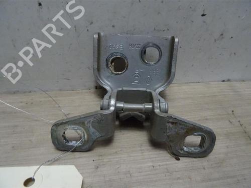 Hinge/Door check strap DACIA SANDERO 1.4 (BS0C, BS0A, BS0G, BS1F, BS0E) | BP13227614C146