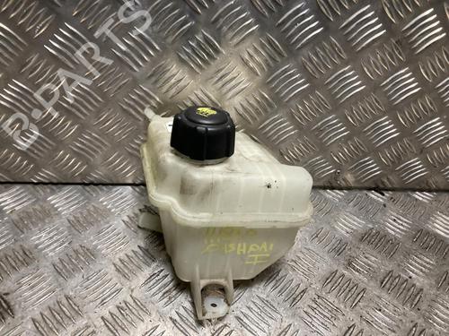 Ekpansionstank NISSAN QASHQAI I (J10, NJ10) 1.5 dCi (110 hp) 31056672