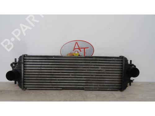 Intercooler RENAULT TRAFIC II Van (FL) 1.9 dCi 80 (FL0B) | BP13271024M30 