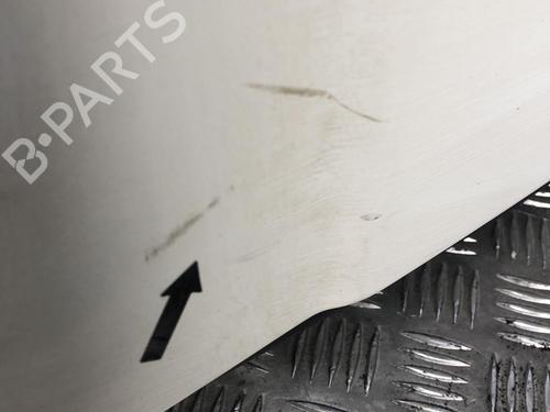 Left tailgate RENAULT MASTER III Van (FV) 2.3 dCi 110 FWD (FV0R, FV0W, FV1A) | BP31200817C76