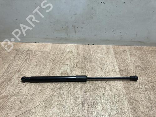 Gassdemper Bakluke RENAULT TWINGO II (CN0_) 1.2 16V (CN04, CN0B) (75 hp) 20621951